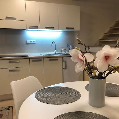 Beachfront Studio Apartman Lejlighedshotel Balatonfůzfő Eksteriør billede