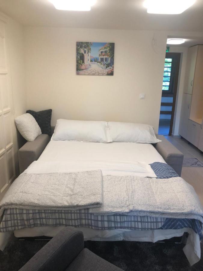 Beachfront Studio Apartman Lejlighedshotel Balatonfůzfő Eksteriør billede