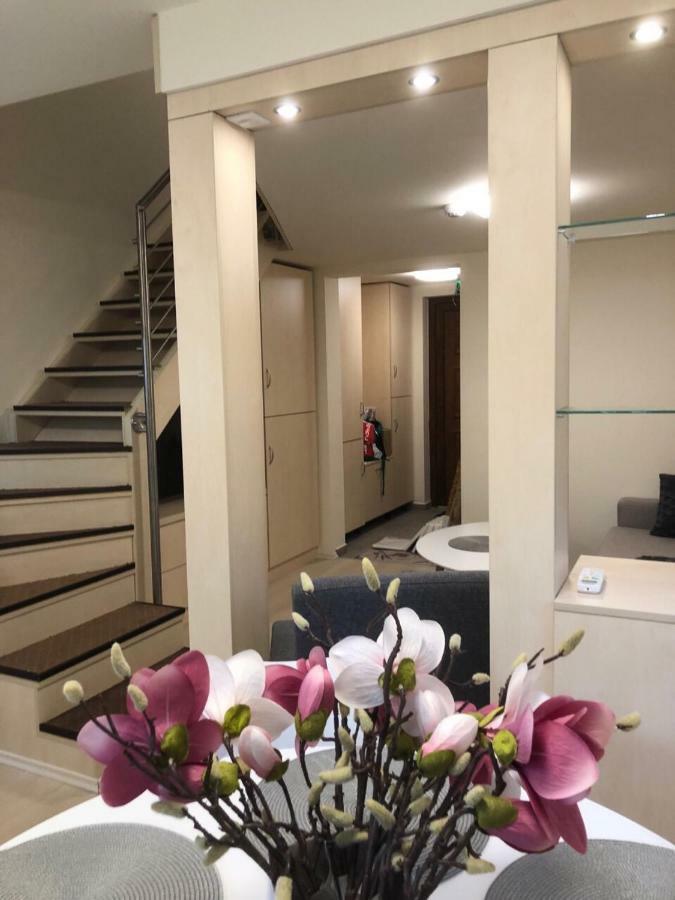 Beachfront Studio Apartman Lejlighedshotel Balatonfůzfő Eksteriør billede